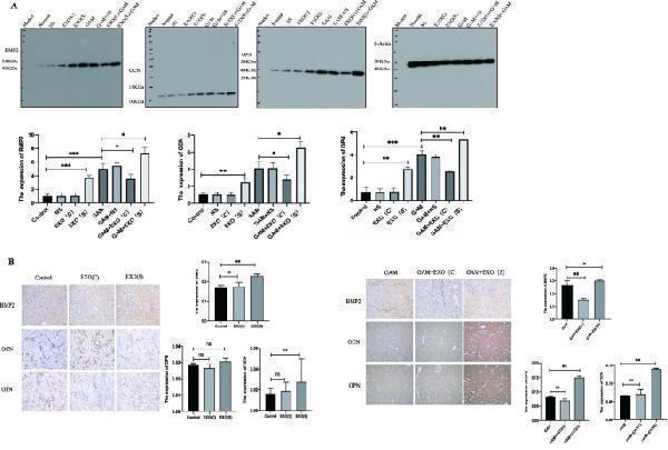 pb9687 13036_2023_324_fig7_html