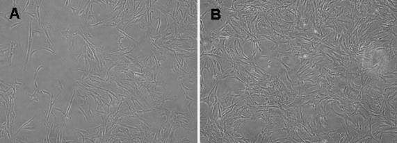 pb9687 mv v14 2373 f3