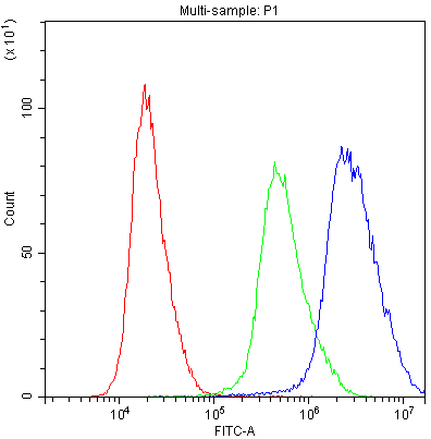 Figure 4. Flow Cytometry analysis of PC-3 cells using anti-PTP4A2 antibody (PB9740). Overlay histogram showing PC-3 cells stained with PB9740 (Blue line). To facilitate intracellular staining, cells were fixed with 4% paraformaldehyde and permeabilized with permeabilization buffer. The cells were blocked with 10% normal goat serum. And then incubated with rabbit anti-PTP4A2 Antibody (PB9740,1microg/1x106 cells) for 30 min at 20°C. DyLight®488 conjugated goat anti-rabbit IgG (BA1127, 5-10microg/1x106 cells) was used as secondary antibody for 30 minutes at 20°C. Isotype control antibody (Green line) was rabbit IgG (1microg/1x106) used under the same conditions. Unlabelled sample without incubation with primary antibody and secondary antibody (Red line) was used as a blank control.
