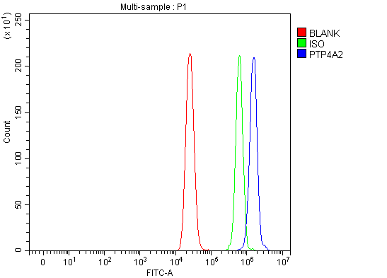 Figure 3. Flow Cytometry analysis of MCF-7 cells using anti-PTP4A2 antibody (PB9740). Overlay histogram showing MCF-7 cells stained with PB9740 (Blue line). To facilitate intracellular staining, cells were fixed with 4% paraformaldehyde and permeabilized with permeabilization buffer. The cells were blocked with 10% normal goat serum. And then incubated with rabbit anti-PTP4A2 Antibody (PB9740, 1 microg/1x106 cells) for 30 min at 20°C. DyLight®488 conjugated goat anti-rabbit IgG (BA1127, 5-10 microg/1x106 cells) was used as secondary antibody for 30 minutes at 20°C. Isotype control antibody (Green line) was rabbit IgG (1 microg/1x106) used under the same conditions. Unlabelled sample without incubation with primary antibody and secondary antibody (Red line) was used as a blank control.