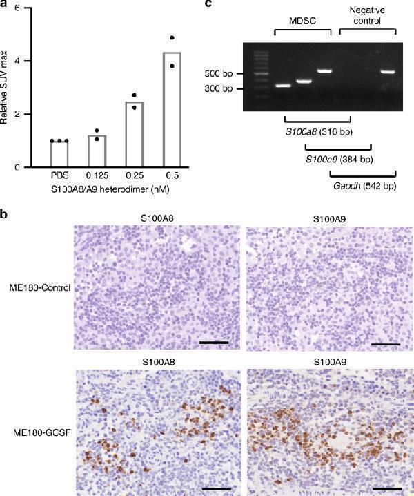 pb9742 41467_2020_15186_fig4_html