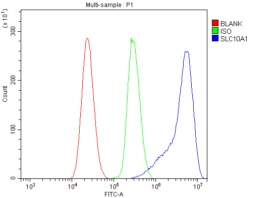 pb9745 slc10a1 primary antibodies fcm testing 6_1