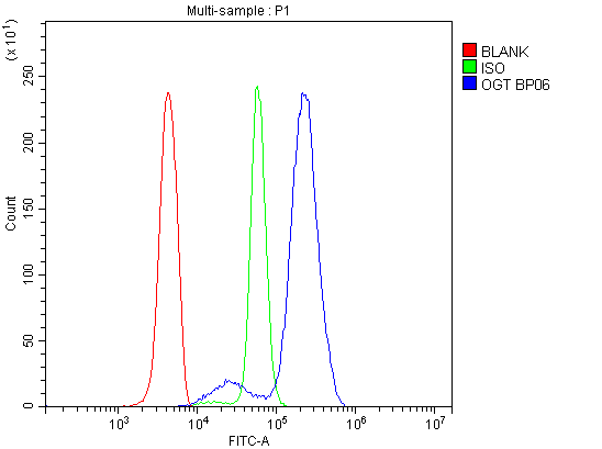Figure 8. Flow Cytometry analysis of U937 cells using anti-OGT antibody (PB9767). Overlay histogram showing U937 cells stained with PB9767 (Blue line). To facilitate intracellular staining, cells were fixed with 4% paraformaldehyde and permeabilized with permeabilization buffer. The cells were blocked with 10% normal goat serum. And then incubated with rabbit anti-OGT Antibody (PB9767,1microg/1x106 cells) for 30 min at 20°C. DyLight®488 conjugated goat anti-rabbit IgG (BA1127, 5-10microg/1x106 cells) was used as secondary antibody for 30 minutes at 20°C. Isotype control antibody (Green line) was rabbit IgG (1microg/1x106) used under the same conditions. Unlabelled sample without incubation with primary antibody and secondary antibody (Red line) was used as a blank control. Figure 8. Flow Cytometry analysis of U937 cells using anti-OGT antibody (PB9767). Overlay histogram showing U937 cells stained with PB9767 (Blue line). To facilitate intracellular staining, cells were fixed with 4% paraformaldehyde and permeabilized with permeabilization buffer. The cells were blocked with 10% normal goat serum. And then incubated with rabbit anti-OGT Antibody (PB9767,1microg/1x106 cells) for 30 min at 20°C. DyLight®488 conjugated goat anti-rabbit IgG (BA1127, 5-10microg/1x106 cells) was used as secondary antibody for 30 minutes at 20°C. Isotype control antibody (Green line) was rabbit IgG (1microg/1x106) used under the same conditions. Unlabelled sample without incubation with primary antibody and secondary antibody (Red line) was used as a blank control.