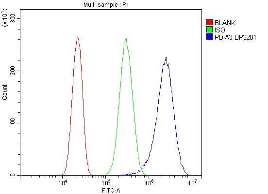 Figure 5. Flow Cytometry analysis of PC-3 cells using anti-ERp57 antibody (PB9772). Overlay histogram showing PC-3 cells stained with PB9772 (Blue line). To facilitate intracellular staining, cells were fixed with 4% paraformaldehyde and permeabilized with permeabilization buffer. The cells were blocked with 10% normal goat serum. And then incubated with rabbit anti-ERp57 Antibody (PB9772, 1microg/1x106 cells) for 30 min at 20°C. DyLight®488 conjugated goat anti-rabbit IgG (BA1127, 5-10microg/1x106 cells) was used as secondary antibody for 30 minutes at 20°C. Isotype control antibody (Green line) was rabbit IgG (1microg/1x106) used under the same conditions. Unlabelled sample without incubation with primary antibody and secondary antibody (Red line) was used as a blank control.