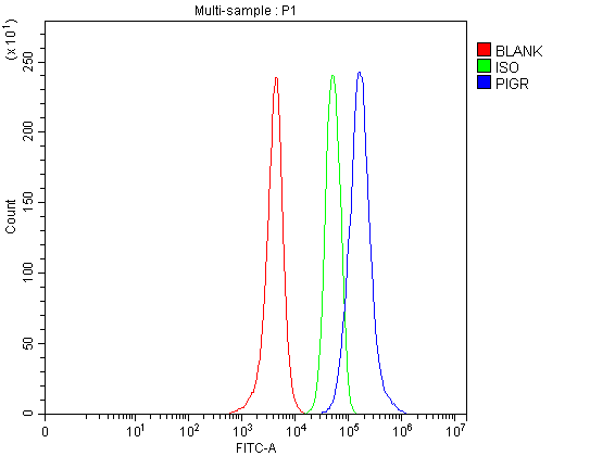 pb9776 pigr primary antibodies fcm testing 1