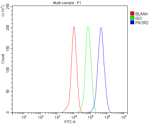 pb9777 pik3r2 primary antibodies fcm testing 1