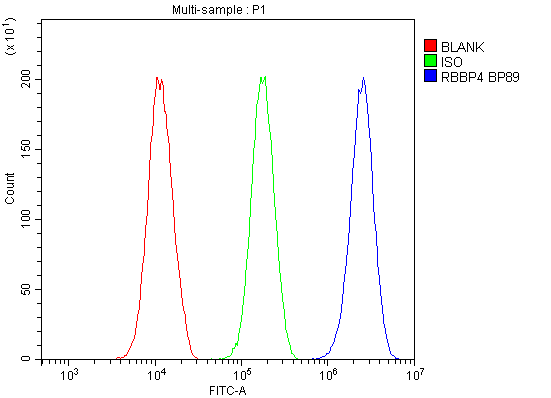 pb9797 rbap48 primary antibodies fcm testing 13