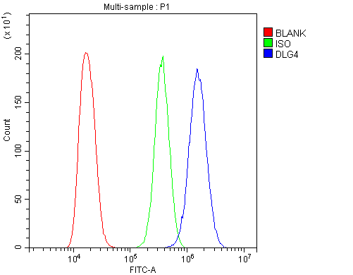  Flow Cytometry analysis of A431 cells using anti-PSD95 antibody (PB9802)