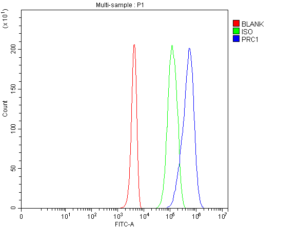 pb9814 prc1 primary antibodies fcm testing 1