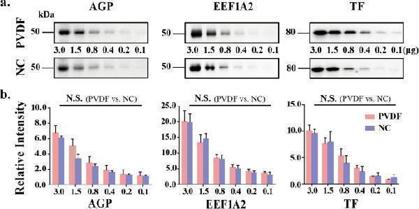 pb9827 41598_2021_91521_fig2_html