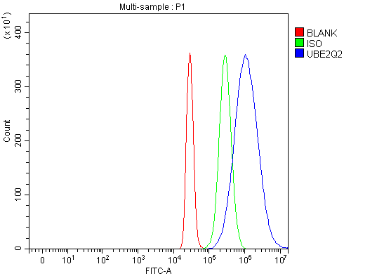 Flow Cytometry analysis of HepG2 cells using anti-UBE2Q2 antibody (PB9839)