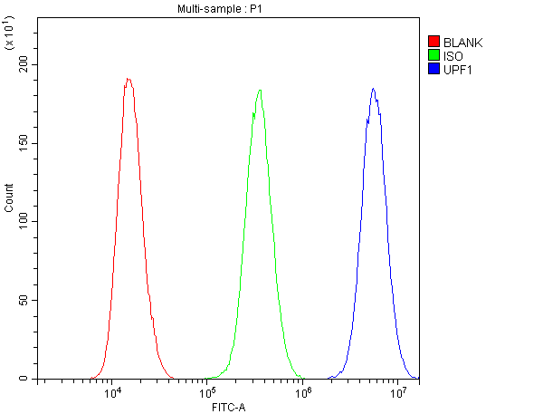 Figure 5. Flow Cytometry analysis of PC-3 cells using anti-RENT1/hUPF1 antibody (PB9842). Overlay histogram showing PC-3 cells stained with PB9842 (Blue line). To facilitate intracellular staining, cells were fixed with 4% paraformaldehyde and permeabilized with permeabilization buffer. The cells were blocked with 10% normal goat serum. And then incubated with rabbit anti-RENT1/hUPF1 Antibody (PB9842,1microg/1x106 cells) for 30 min at 20°C. DyLight®488 conjugated goat anti-rabbit IgG (BA1127, 5-10microg/1x106 cells) was used as secondary antibody for 30 minutes at 20°C. Isotype control antibody (Green line) was rabbit IgG (1microg/1x106) used under the same conditions. Unlabelled sample without incubation with primary antibody and secondary antibody (Red line) was used as a blank control. Figure 5. Flow Cytometry analysis of PC-3 cells using anti-RENT1/hUPF1 antibody (PB9842). Overlay histogram showing PC-3 cells stained with PB9842 (Blue line). To facilitate intracellular staining, cells were fixed with 4% paraformaldehyde and permeabilized with permeabilization buffer. The cells were blocked with 10% normal goat serum. And then incubated with rabbit anti-RENT1/hUPF1 Antibody (PB9842,1microg/1x106 cells) for 30 min at 20°C. DyLight®488 conjugated goat anti-rabbit IgG (BA1127, 5-10microg/1x106 cells) was used as secondary antibody for 30 minutes at 20°C. Isotype control antibody (Green line) was rabbit IgG (1microg/1x106) used under the same conditions. Unlabelled sample without incubation with primary antibody and secondary antibody (Red line) was used as a blank control.