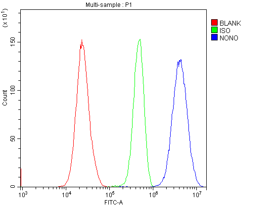 pb9875 nmt55 p54nrb primary antibodies fcm testing 11