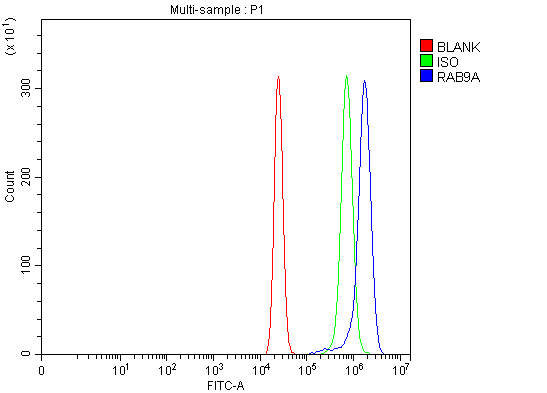  Flow Cytometry analysis of U20S cells using anti-Rab9/RAB9A antibody (PB9884)