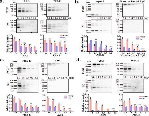 pb9916 41598_2021_91521_fig5_html