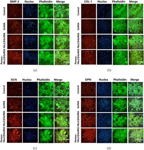 pb9920 images_medium_s1793545824420021figf6