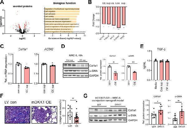 pb9938 40164_2025_616_fig7_html