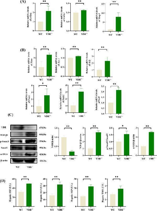 pb9939 13020_2025_1133_fig1_html