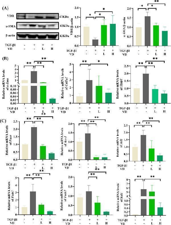 pb9939 13020_2025_1133_fig2_html