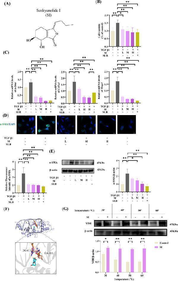 pb9939 13020_2025_1133_fig3_html