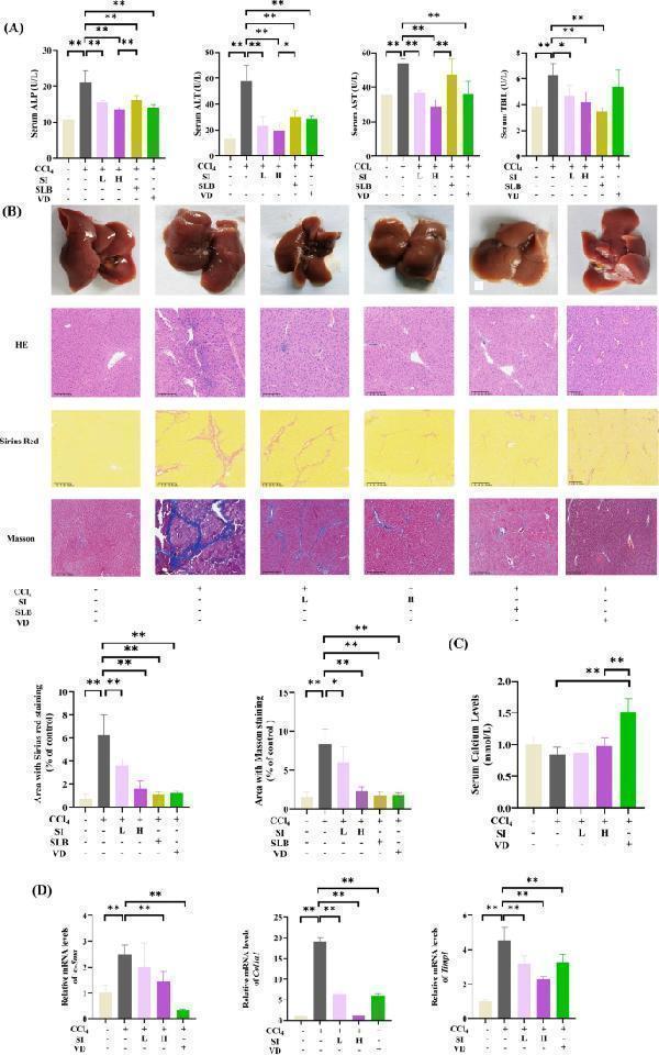 pb9939 13020_2025_1133_fig4_html