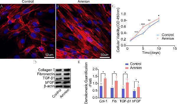 pb9939 fbioe 08 00446 g002
