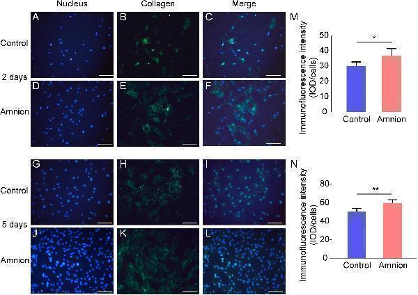 pb9939 fbioe 08 00446 g003
