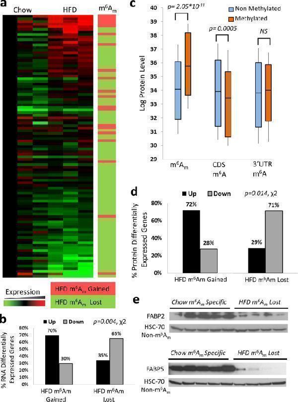 pb9943 41467_2021_27421_fig3_html