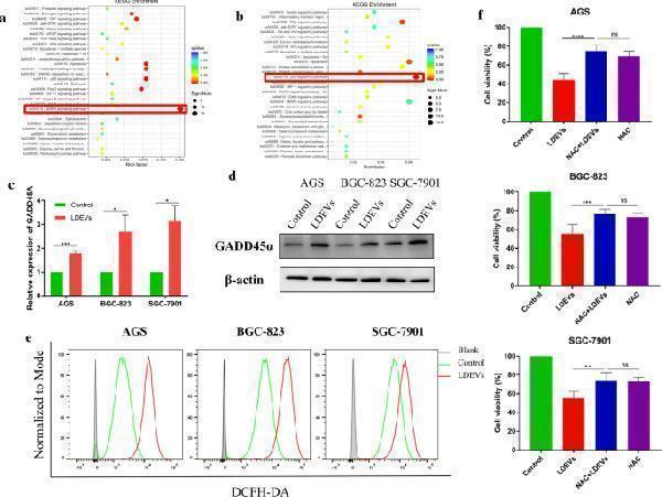 pb9945 12951_2020_656_fig4_html