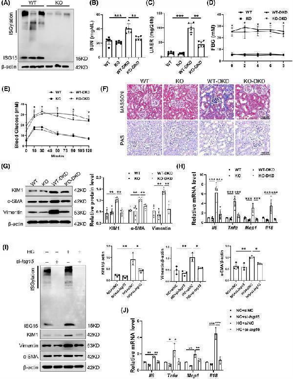 pb9951 ctm2 15 e70337 g001