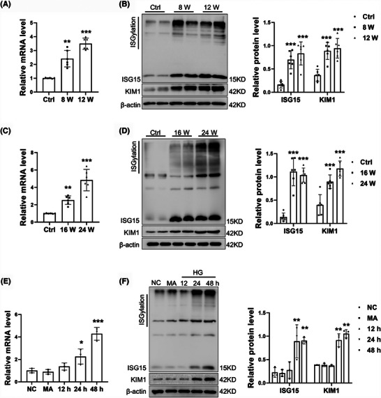 pb9951 ctm2 15 e70337 g003
