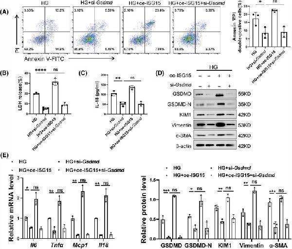 pb9951 ctm2 15 e70337 g007