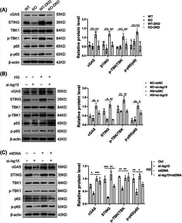 pb9951 ctm2 15 e70337 g009