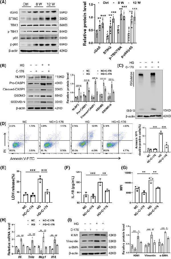 pb9951 ctm2 15 e70337 g010