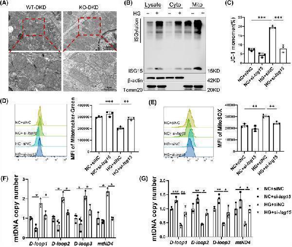 pb9951 ctm2 15 e70337 g011