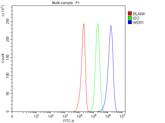 pb9962 wdr1 primary antibodies fcm testing 1