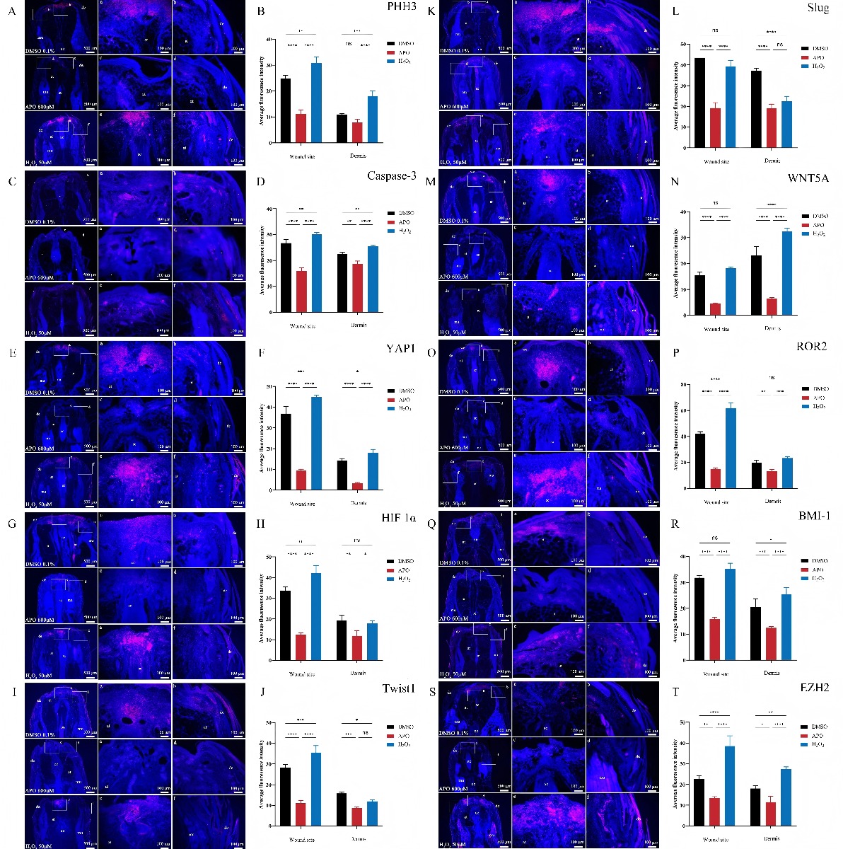 pb9967 publication 12983_2026_617_fig7_html