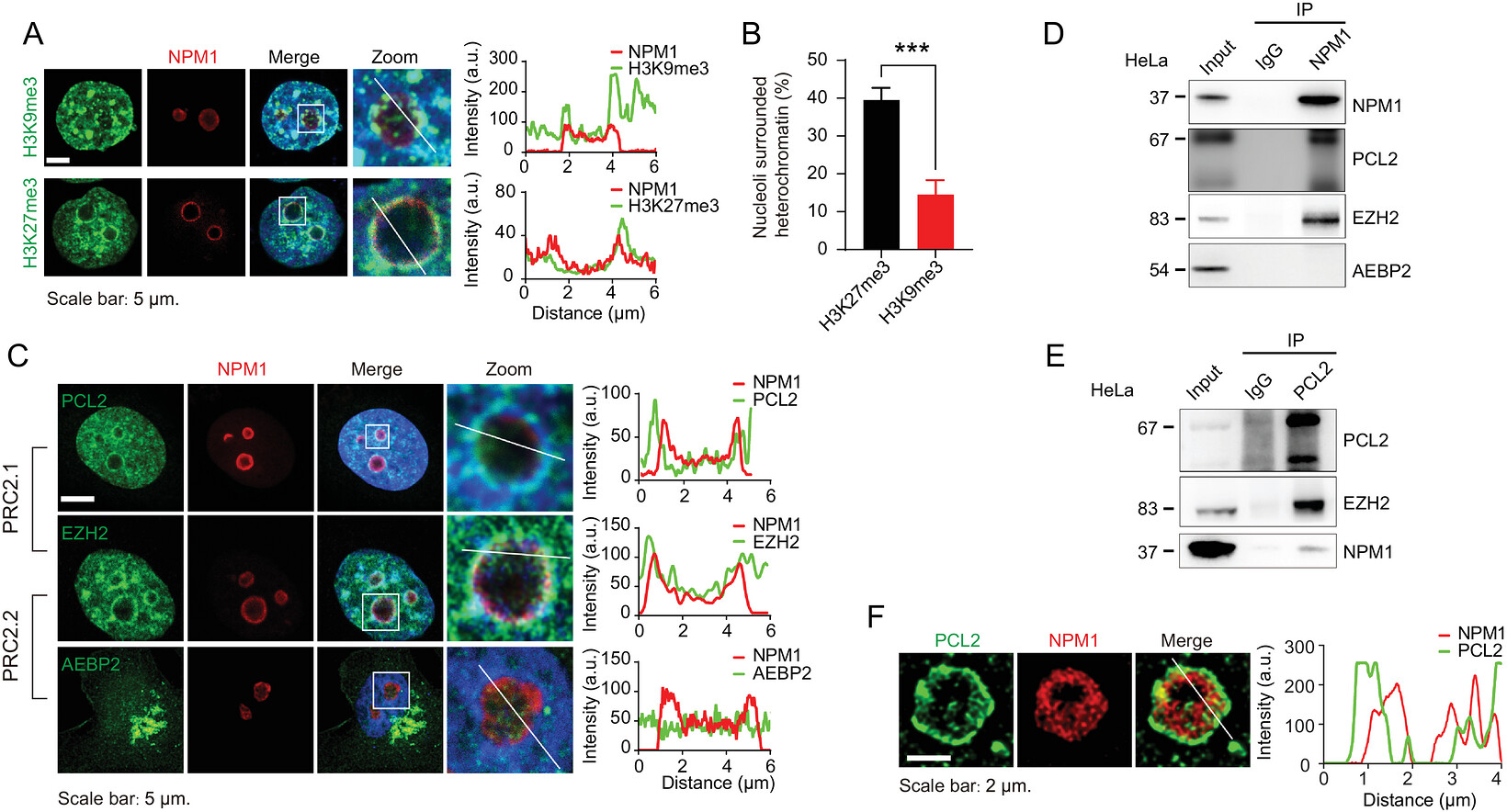 pb9977 publication advs76125 fig 0001 m