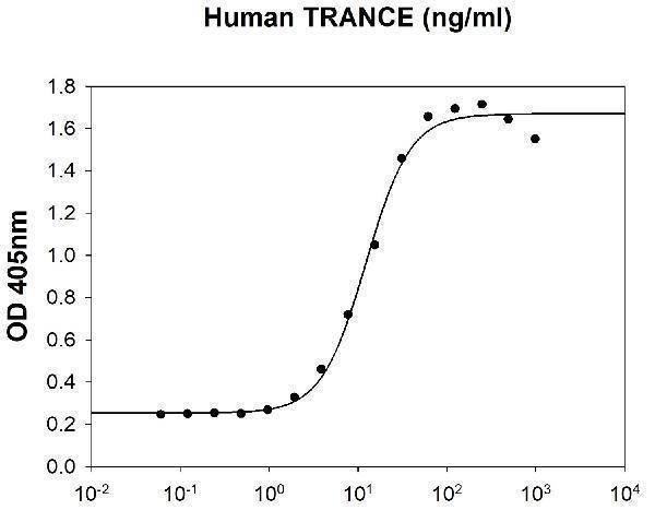 Human TRANCE stimulates osteoclast differentiation in the RAW 264