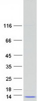 protq9gzt3 slirp human recombinant protein