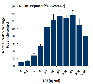 Fig-2: Induction of NF-kB activity by LPS in NF-kB Leeporter™ - RAW264