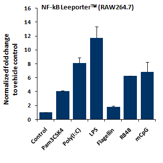 Fig-3: Induction of NF-kB activity by various TLR ligands in NF-kB Leeporter™ - RAW264