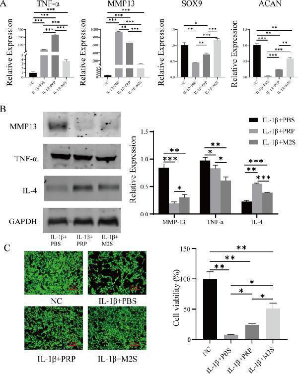 rp1009 12951_2021_1236_fig4_html