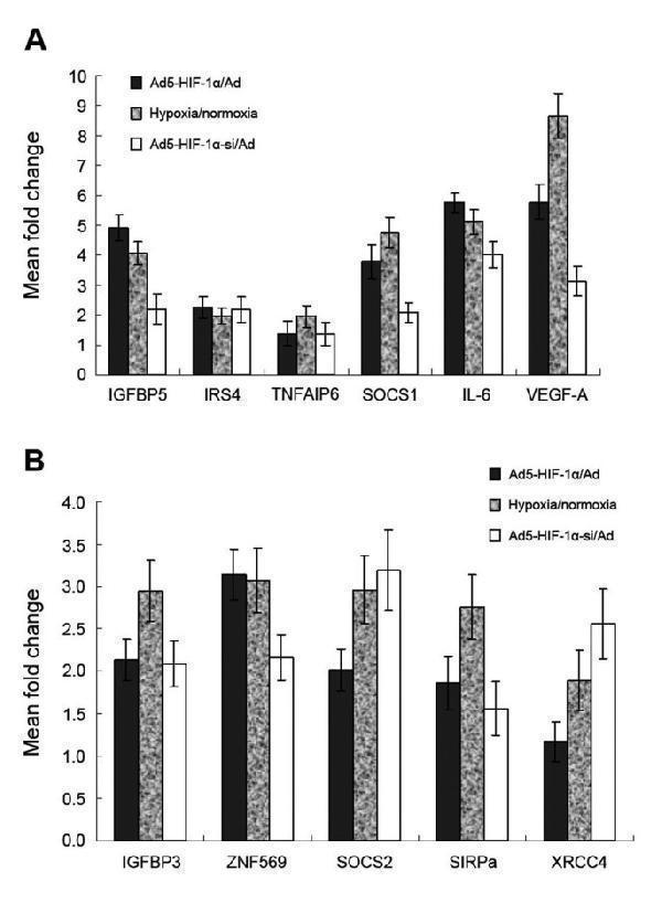 rp1012 13046_2009_article_237_fig2_html
