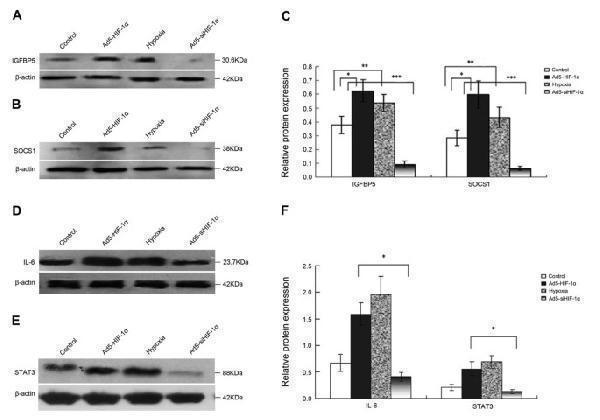 rp1012 13046_2009_article_237_fig3_html