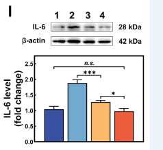 rp1012 jingwen_zhang