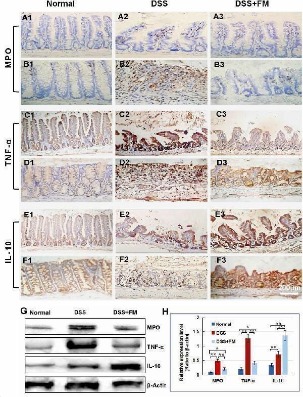 rp1015 fmicb 11 622354 g002