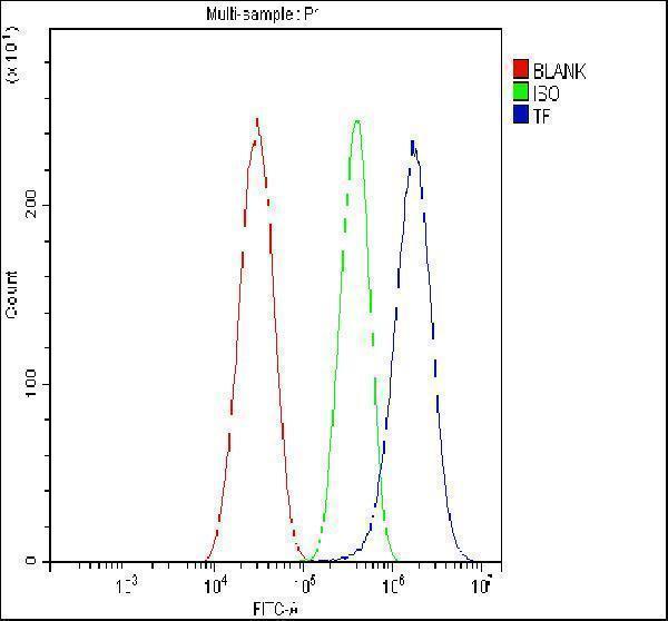 rp1022 tf primary antibodies fcm testing 3