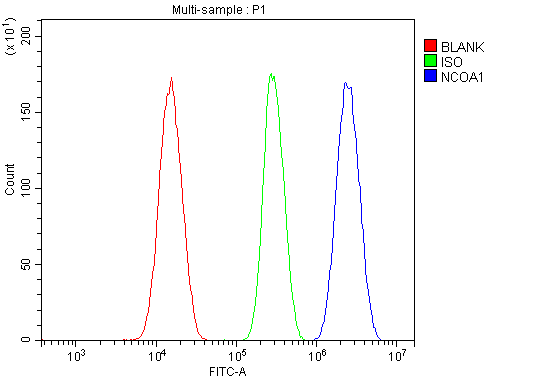 Figure 3. Flow Cytometry analysis of SiHa cells using anti-KAT13A/SRC1 antibody (RP1056). Overlay histogram showing SiHa cells stained with RP1056 (Blue line). To facilitate intracellular staining, cells were fixed with 4% paraformaldehyde and permeabilized with permeabilization buffer. The cells were blocked with 10% normal goat serum. And then incubated with rabbit anti-KAT13A/SRC1 Antibody (RP1056,1microg/1x106 cells) for 30 min at 20°C. DyLight®488 conjugated goat anti-rabbit IgG (BA1127, 5-10microg/1x106 cells) was used as secondary antibody for 30 minutes at 20°C. Isotype control antibody (Green line) was rabbit IgG (1microg/1x106) used under the same conditions. Unlabelled sample without incubation with primary antibody and secondary antibody (Red line) was used as a blank control.