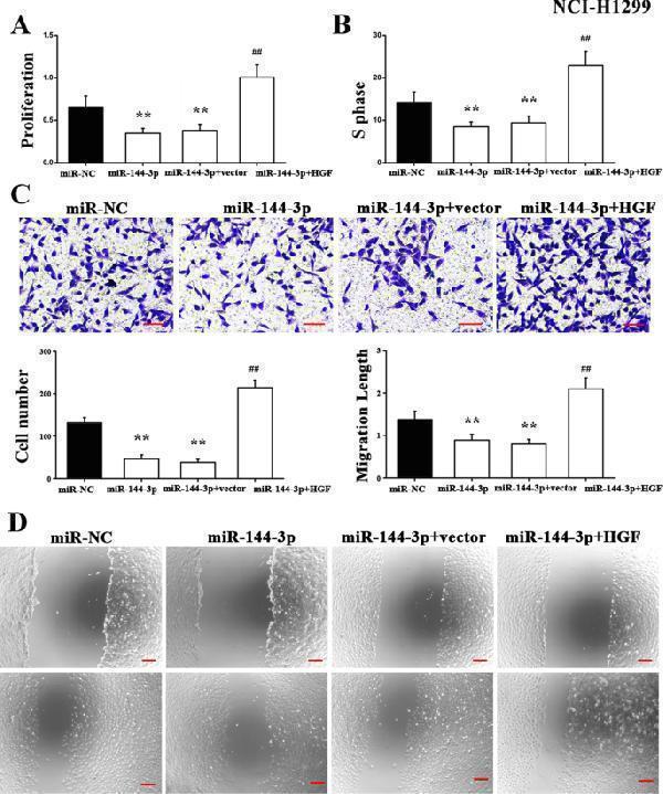 rp1062 13019_2022_1861_fig5_html